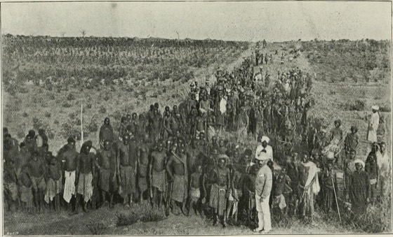 File:Travels in the coastlands of British East Africa and the islands of Zanzibar and Pemba; their agricultural resources and general characteristics (1898) (14576973447).jpg