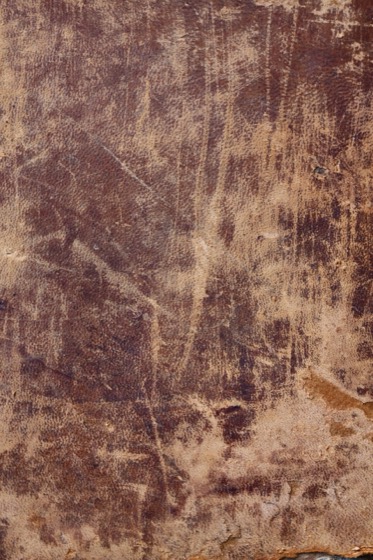 File:Free antique leather book cover texture for layers (2978544161).jpg