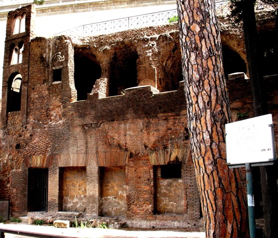 Ancient Roman ruins photograph (SPQR heritage site)