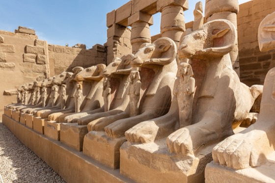 Karnak Temple avenue of ram-headed sphinxes photograph