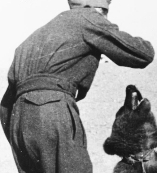 Recorte cinematográfico de File:Polish Soldier in Iran wojtek.jpeg