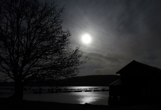 Lua cheia sobre lago noturno