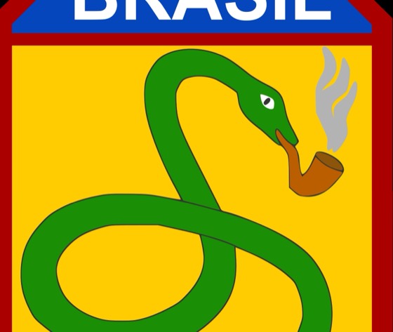 Recorte (close) da mesma obra usada na cena 1 — plano aberto + close-up do emblema da FEB, feito via PIL por este projeto. Obra original inalterada.