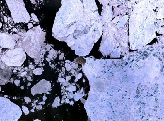 Hans Island, a disputed island in the Nares Strait near Greenland. NASA Landsat 7 image.