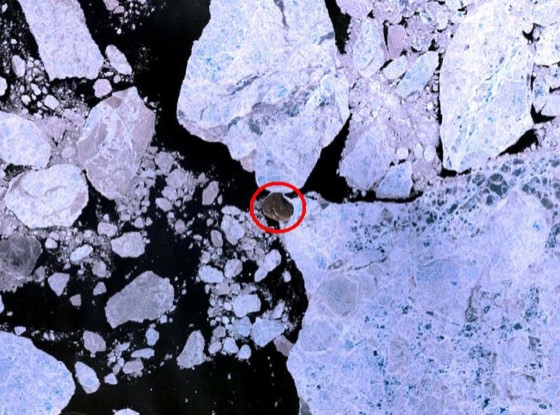 Hans Island, a disputed island in the Nares Strait near Greenland. NASA Landsat 7 image.